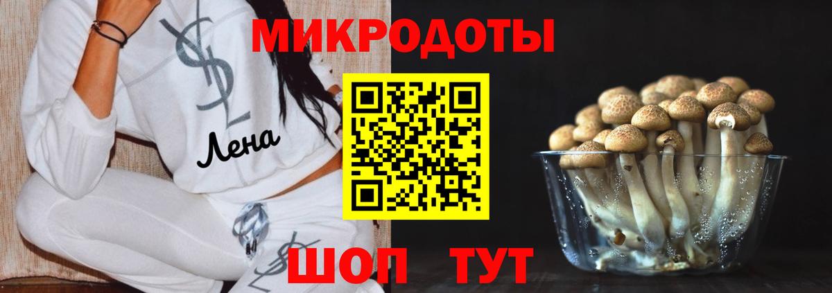 Каменск-Шахтинский  Галлюциногенные грибы Magic Shrooms  Вход с VPN  Псилоцибиновые грибы Psilocybe 